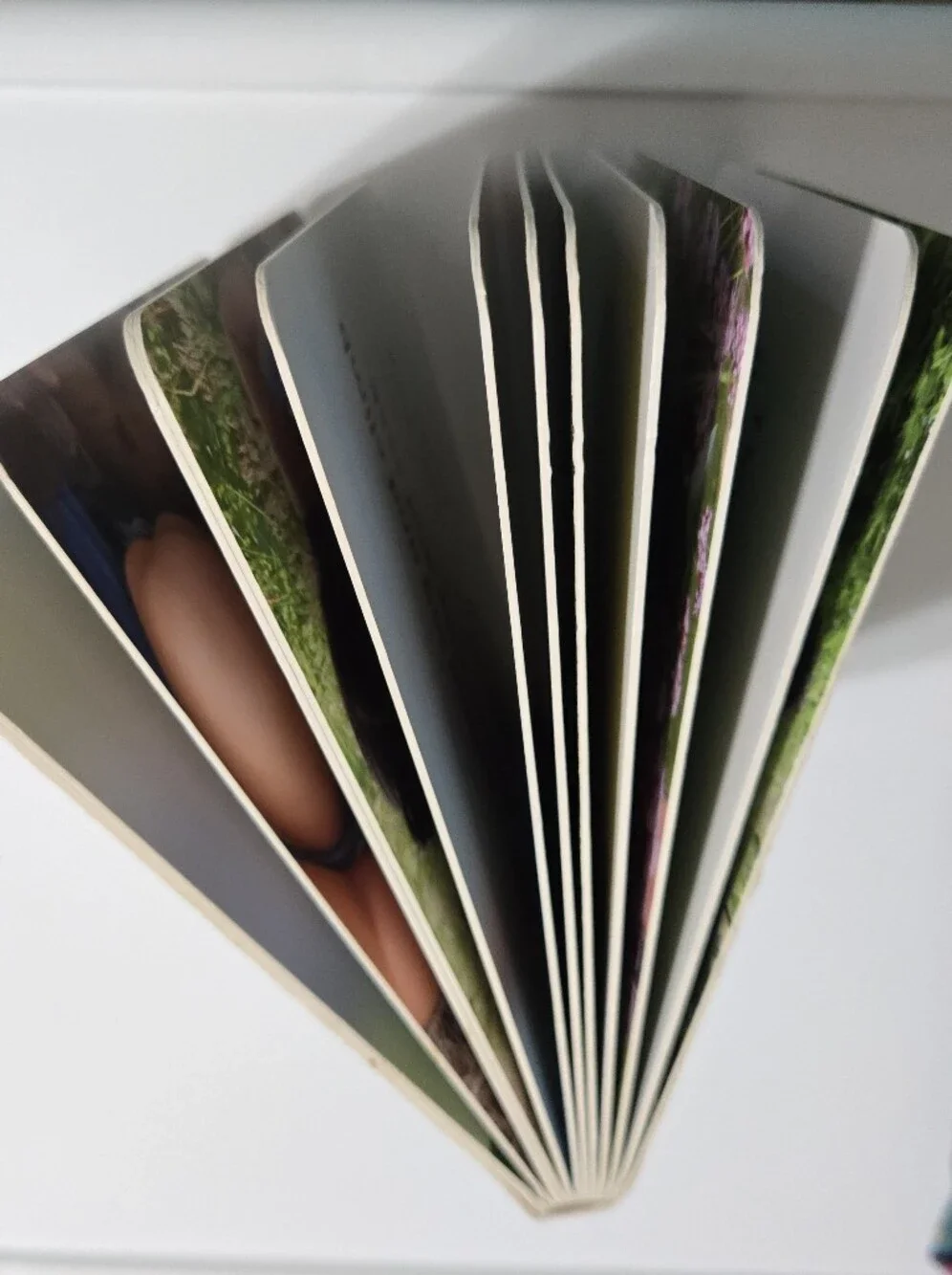 LOVEVERY book my